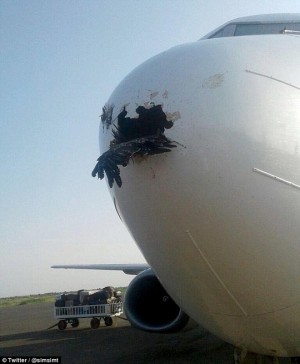 Bị chim đụng thủng mũi, máy bay vẫn hạ cánh an toàn