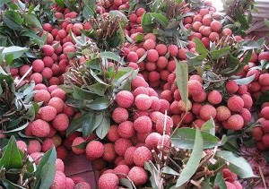 6 loại quả thuần Việt, không bao giờ nhập khẩu từ Trung Quốc