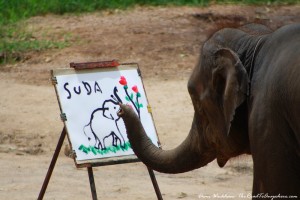 Sự thật tàn nhẫn đằng sau những chú voi biết vẽ tranh