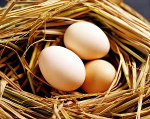 Trẻ em một tuần ăn mấy quả trứng gà?