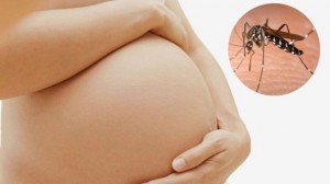 TP.HCM: Thai phụ mắc Zika sinh con ra sao?