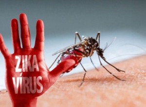 103 ca nhiễm virus Zika tại TP.HCM, trong đó có 13 thai phụ