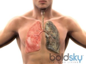 Mẹo cai thuốc lá và làm sạch phổi cực hiệu quả bằng các nguyên liệu tự nhiên