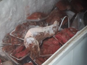 Ngăn chặn kịp thời 2 tấn thịt heo trộn đà điểu không rõ nguồn gốc trước khi tuồn ra thị trường