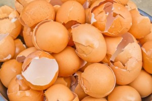 Ăn xong đừng vứt bỏ, nướng vỏ trứng lên bạn sẽ thấy ngay tác dụng diệu kỳ
