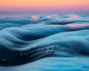 Sương mù dày đặc ở San Francisco