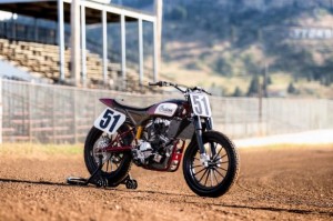 Indian Scout FTR750: 