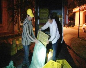 Lạng Sơn: Bắt giữ hàng nghìn gà giống nhập lậu từ Trung Quốc