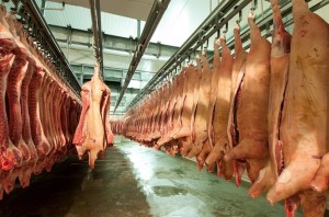 Gần 7.800 tấn thịt lợn 