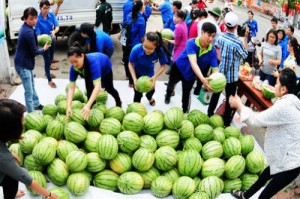 Nông sản 'ế thảm', Việt Nam tập trung khai thông thị trường Trung Quốc