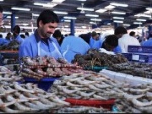 Ghé thăm chợ hải sản vừa rẻ vừa tươi ở Dubai