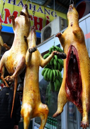 ‘Đội lốt’ thịt thú rừng giá chát, đặc sản chùa Hương là ‘hàng fake’?