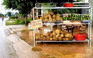 Lâm Đồng: Hạt sầu riêng 90.000 đồng/kg vẫn 