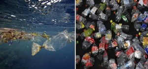 Cảnh báo: Đến 2050, chất thải nhựa đổ ra đại dương sẽ nhiều hơn cả lượng cá biển
