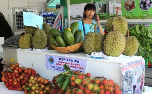 Hàng loạt trái cây đầu mùa giá cao vút, bán 1 quả thu về tiền triệu