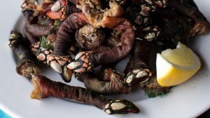 Loại hải sản ngon nhất thế giới: Ốc biển liu diu 3 triệu đồng/con