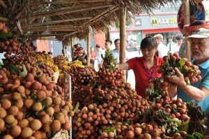 Trung Quốc thu hoạch 500.000 ha vải thiều, Việt Nam có lo?