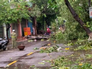 Bình Định, Phú Yên tan hoang sau khi bão số 5 càn quét giữa đêm