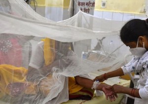 Đã xác định chân tướng 'virus bí ẩn' giế.t ch.ết hàng chục trẻ em ở Ấn Độ: 'Hung thủ' không hề xa lạ