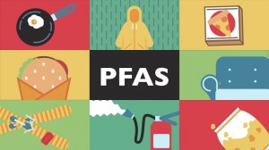 Giảm thiểu sử dụng thực phẩm chứa hóa chất vĩnh cửu (PFAS)