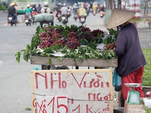 Đặc sản nho Ninh Thuận về Hà Nội giá 25.000 đồng/kg