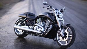 Giá từ 300 triệu đồng, Harley-Davidson chính hãng Bắc tiến