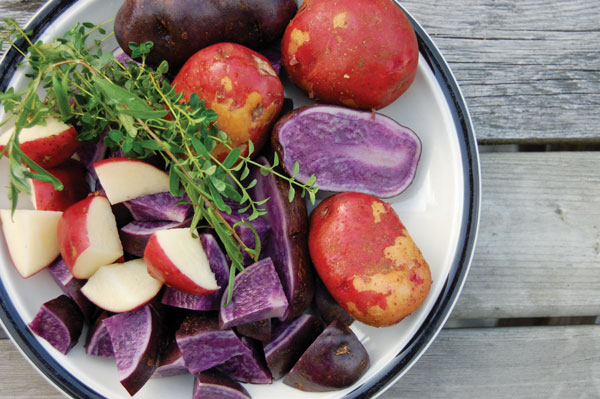 thường xuyên ăn khoai tây có tốt cho sức khỏe