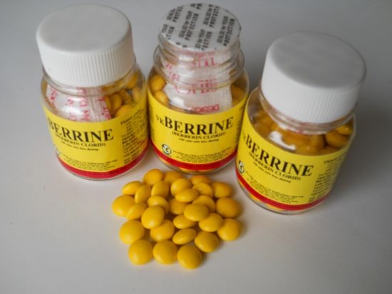 Mỗi khi có rối loạn tiêu hóa là người bệnh hay nghĩ đến và mua dùng berberin. Thế nhưng không phải ai cũng hiểu được về những tác dụng của loại thuốc vừa có sẵn mà lại rẻ tiền này.