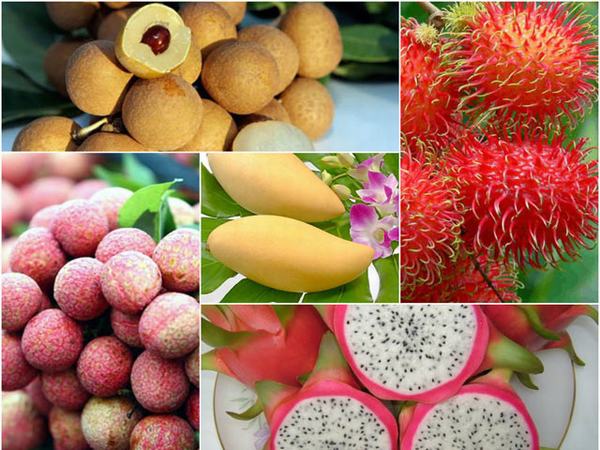 Những trái ngon đất Việt đắt hàng... xuất ngoại